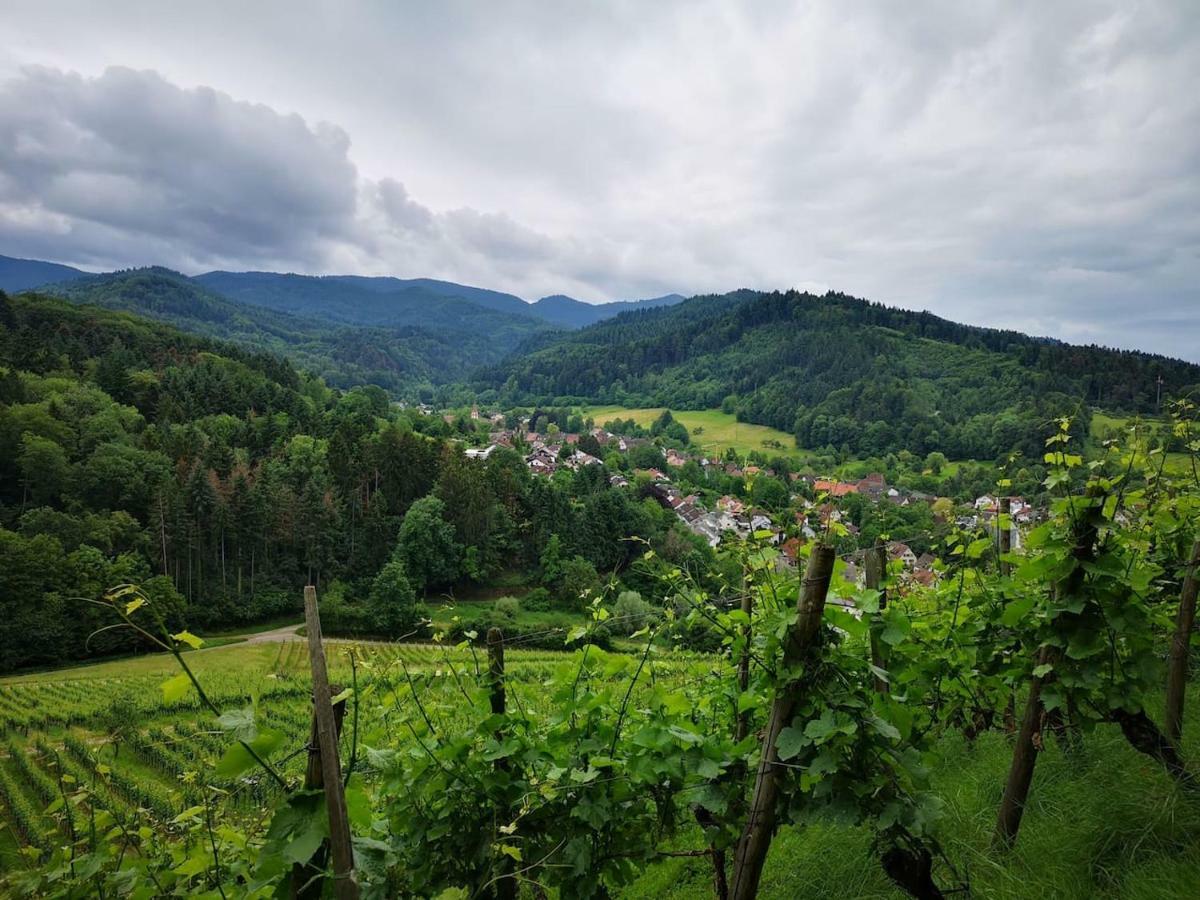 Casa Luna Döttingen Zewnętrze zdjęcie